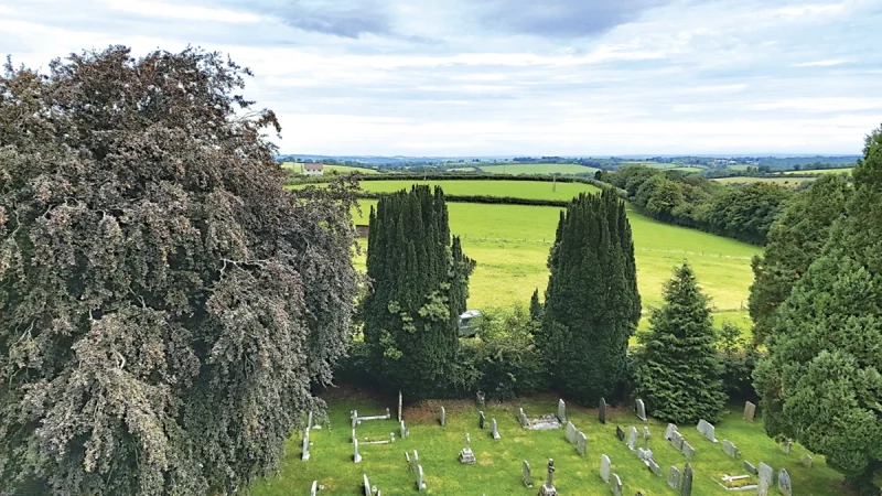 North view from tower – St Thomas of Canterbury Church, Northlew Devon
