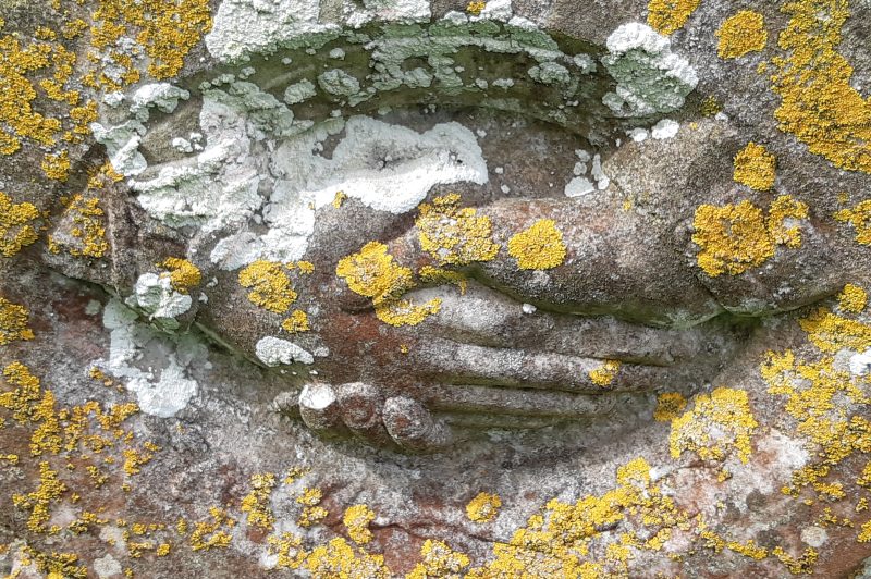 shaking hands lichen